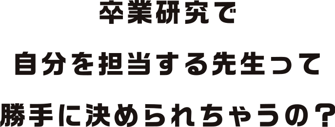 先生たちはみんな美術の先生ばっかりなんでしょ？